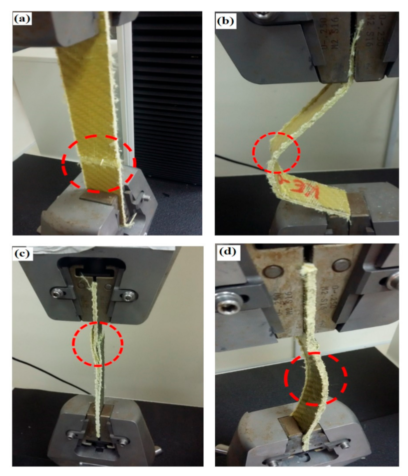 Polymers 13 00422 g009