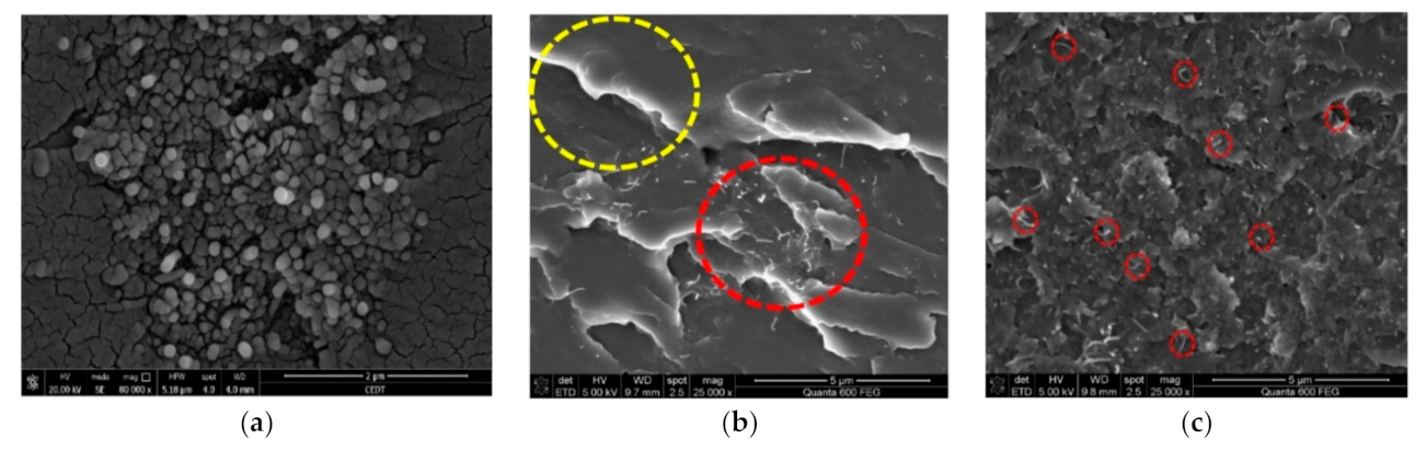 Polymers 13 00422 g010