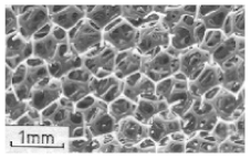 Polymers 13 00423 i005