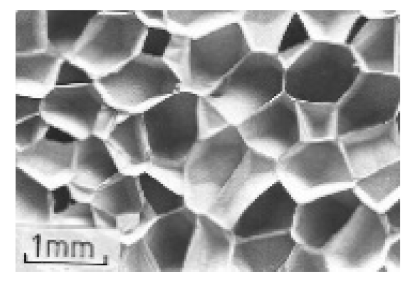 Polymers 13 00423 i006