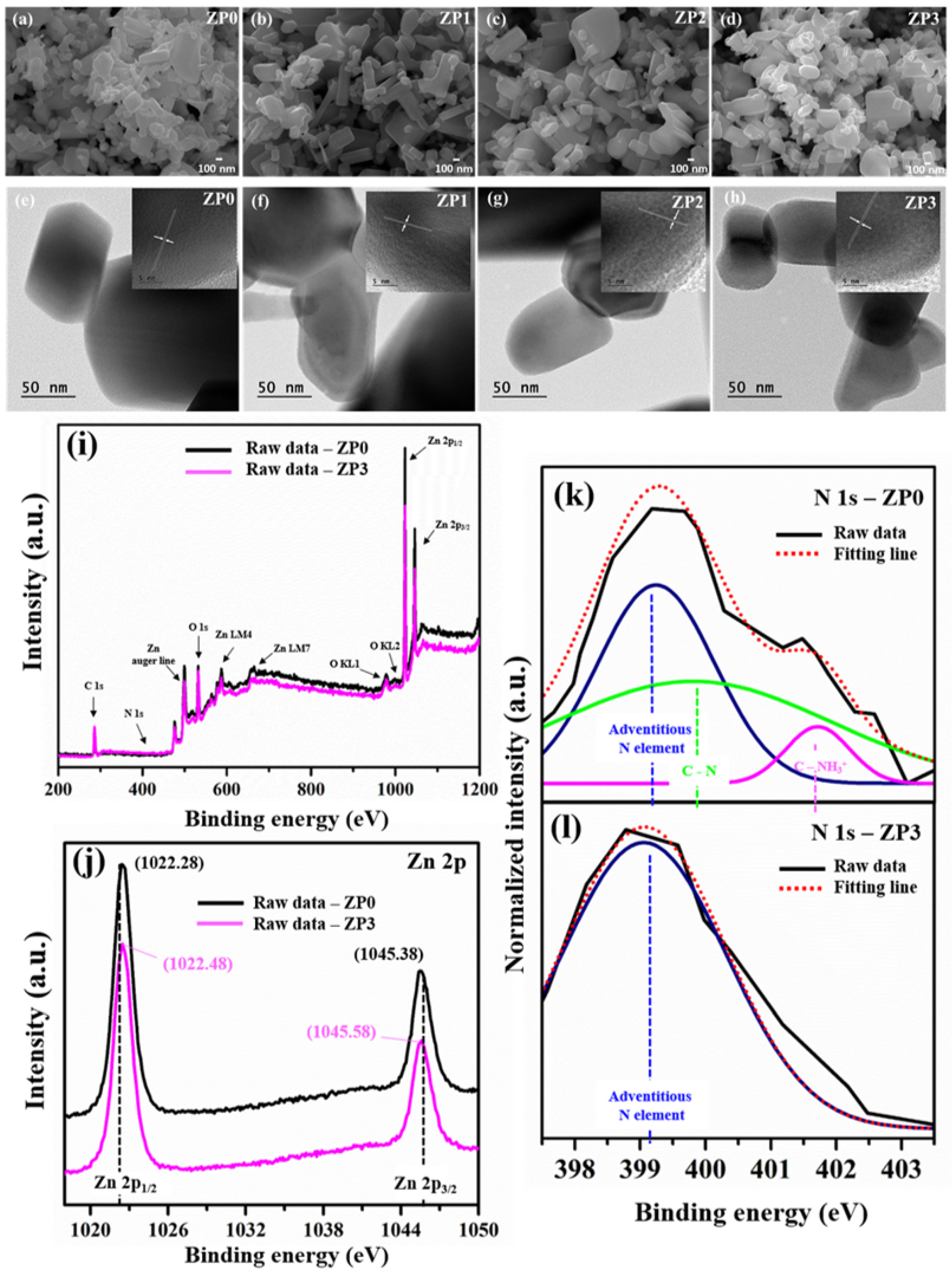 Polymers 13 00425 g003