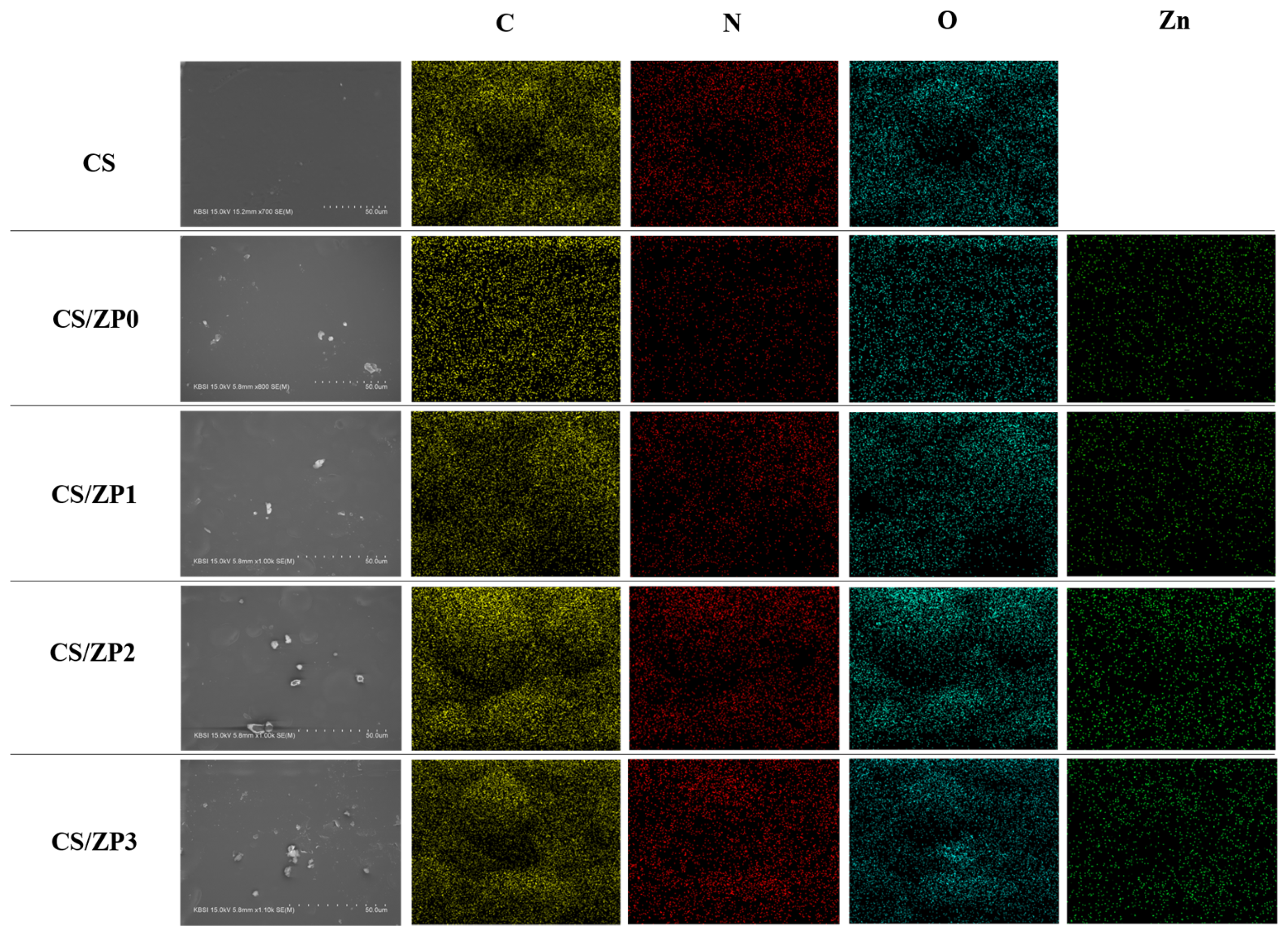 Polymers 13 00425 g004