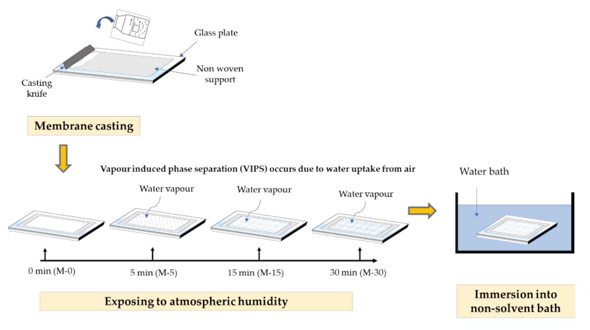 Polymers 13 00427 g001