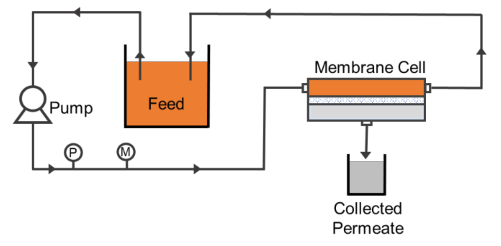 Polymers 13 00427 g002