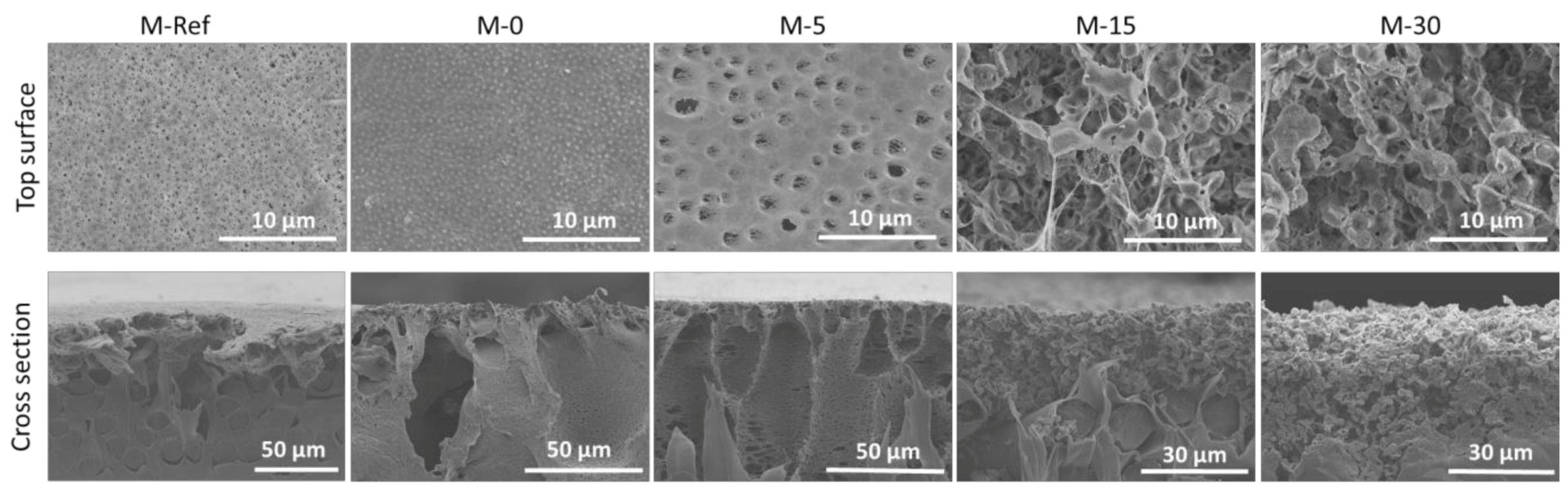 Polymers 13 00427 g003