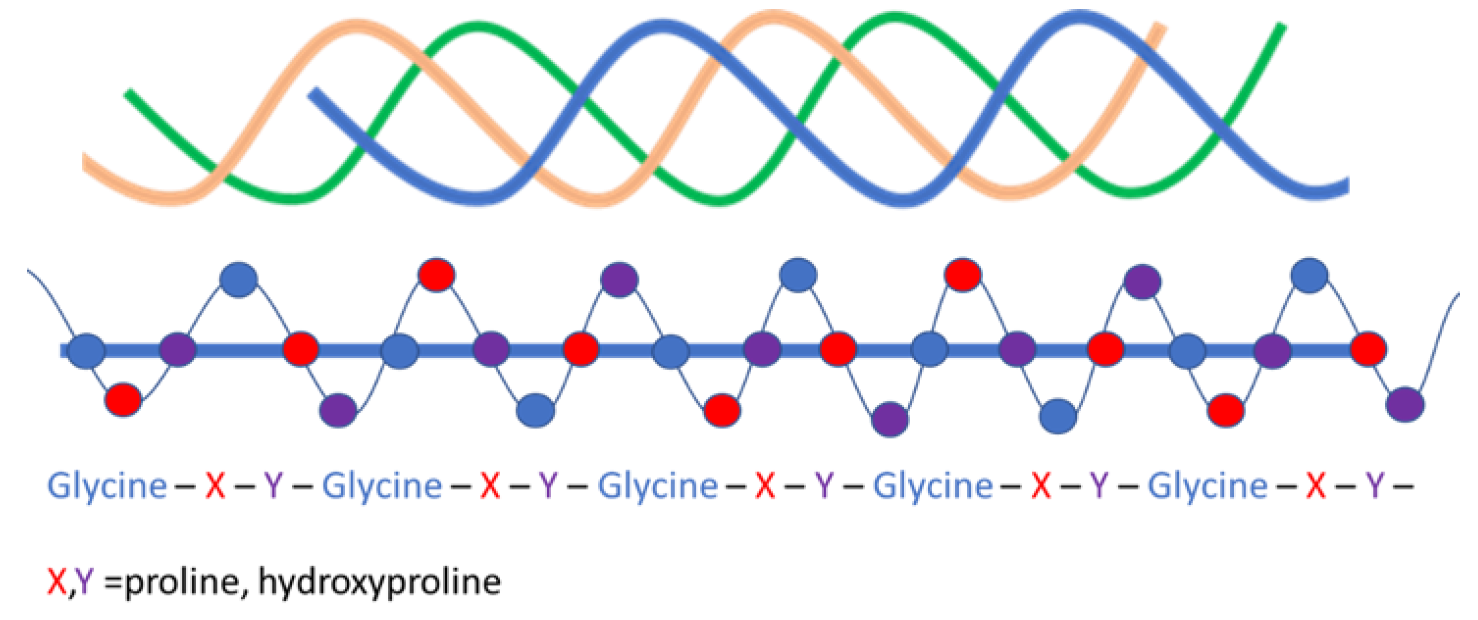 Polymers 13 00429 g001