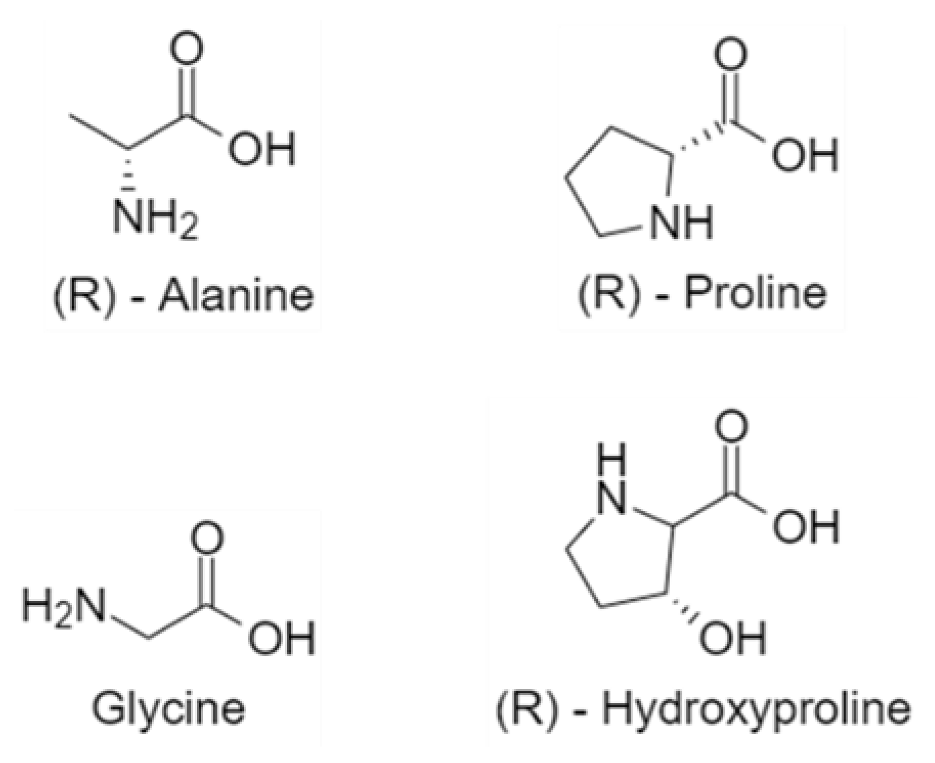 Polymers 13 00429 g002