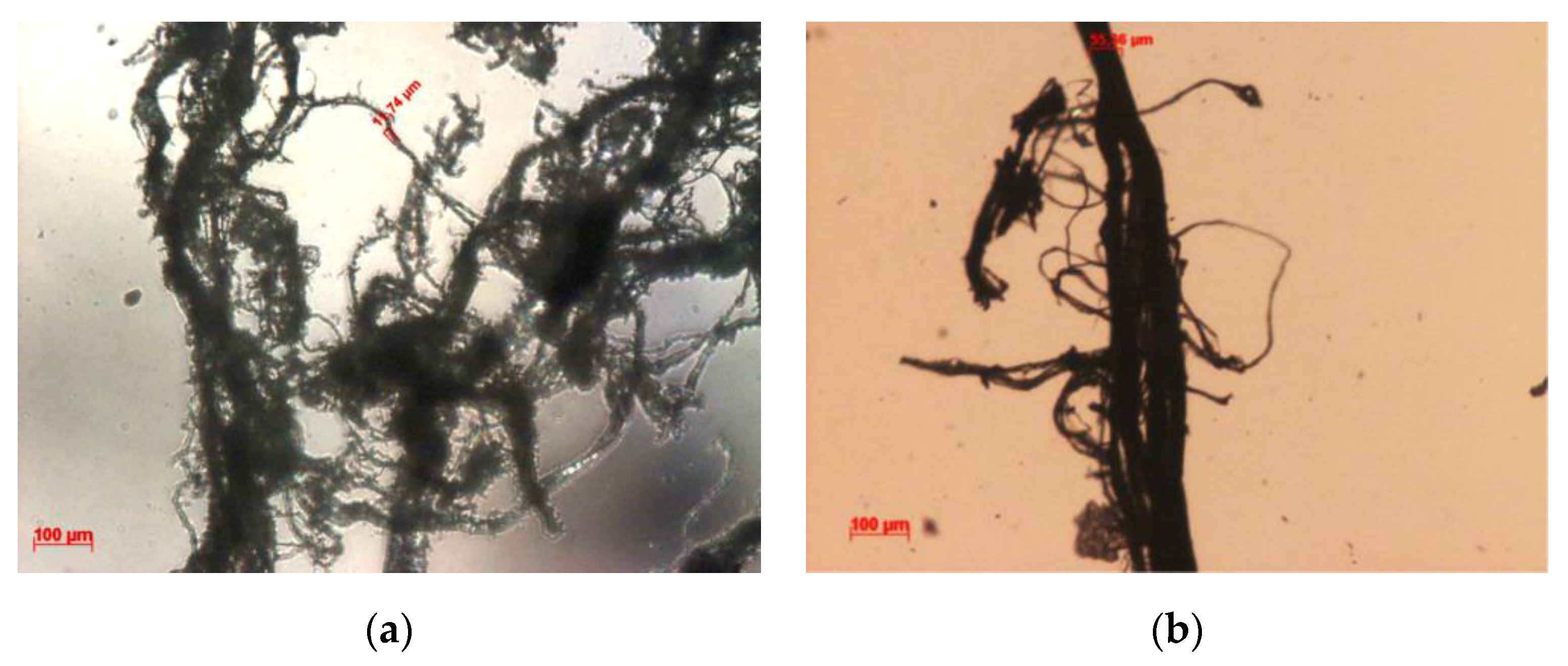 Polymers 13 00429 g005