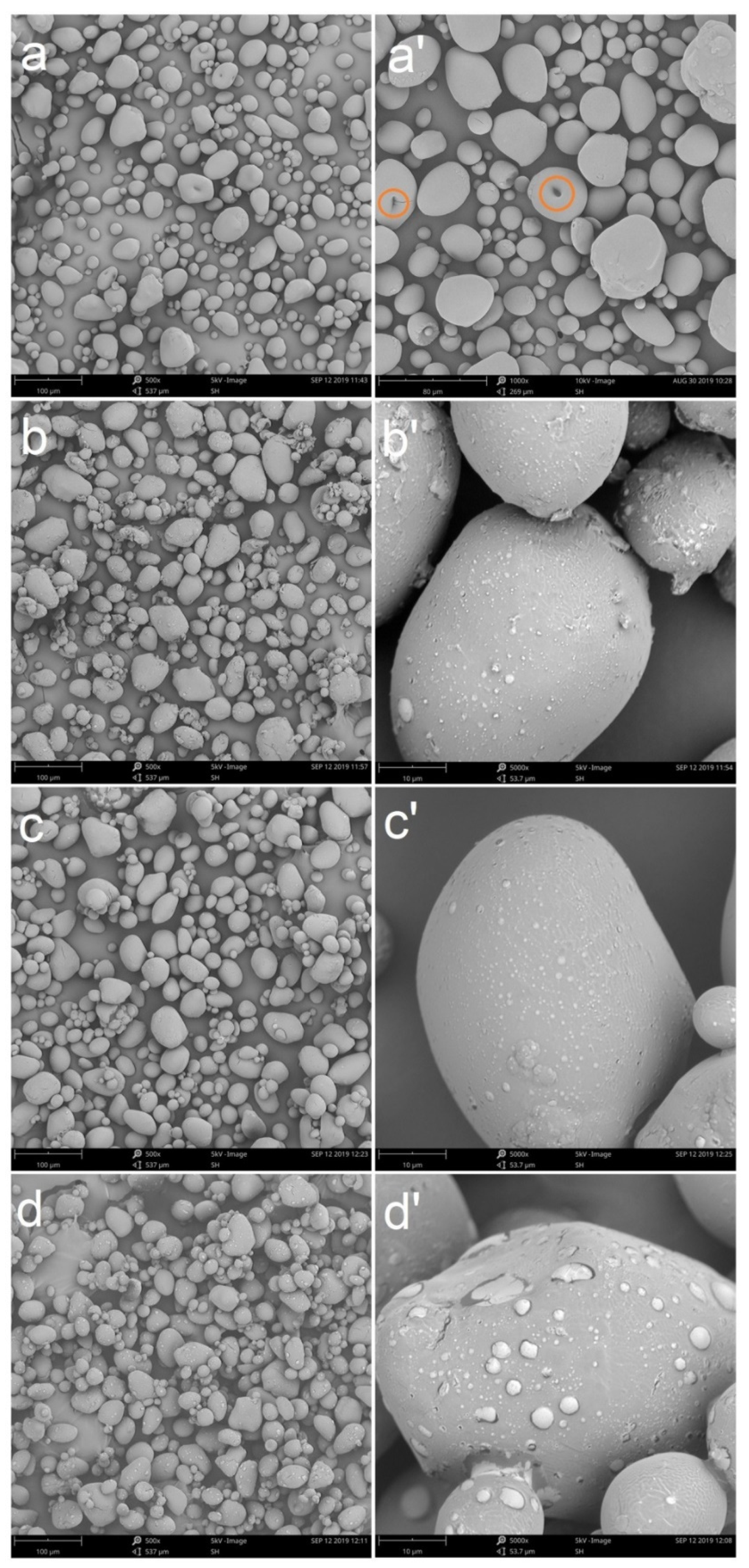 Polymers 13 00431 g002