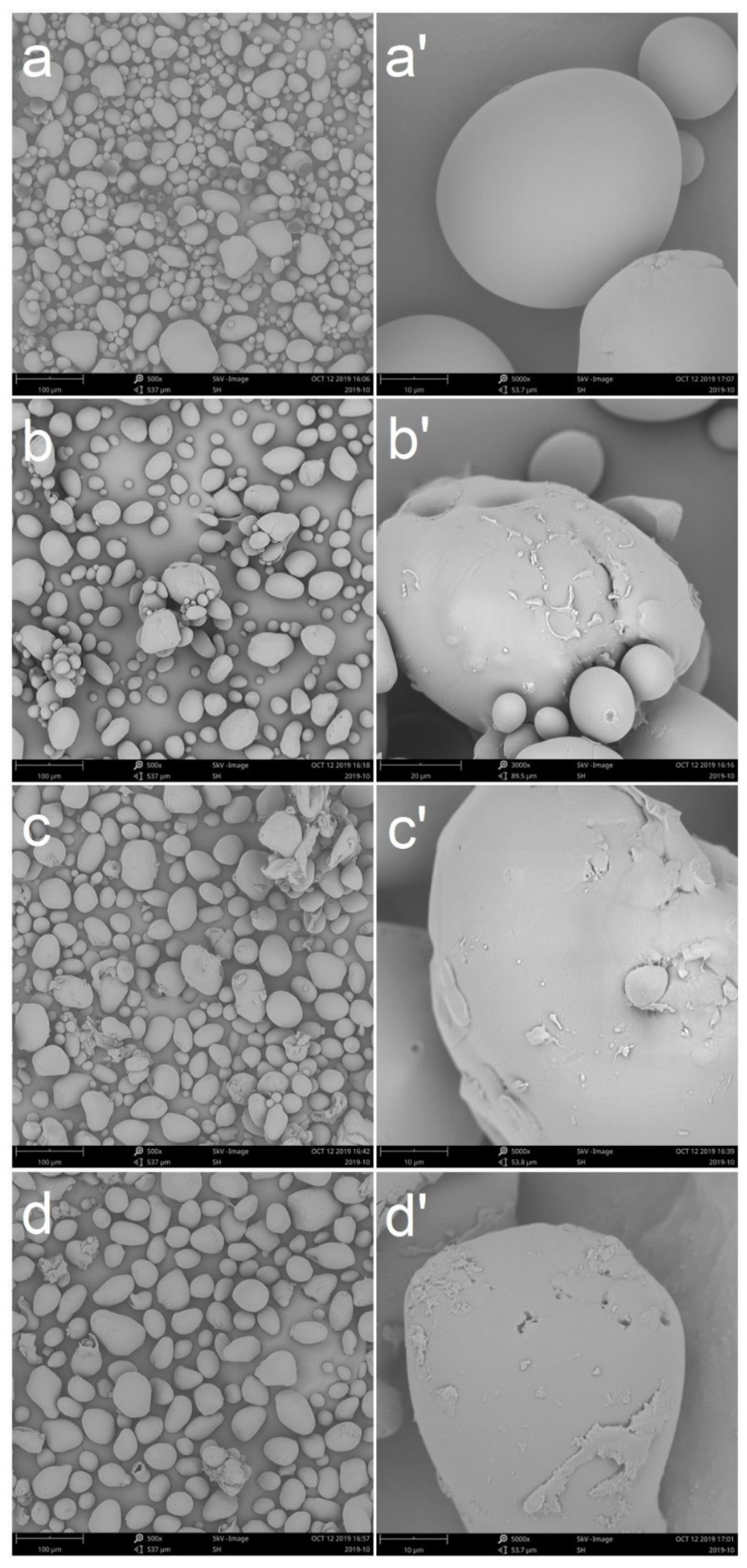 Polymers 13 00431 g003