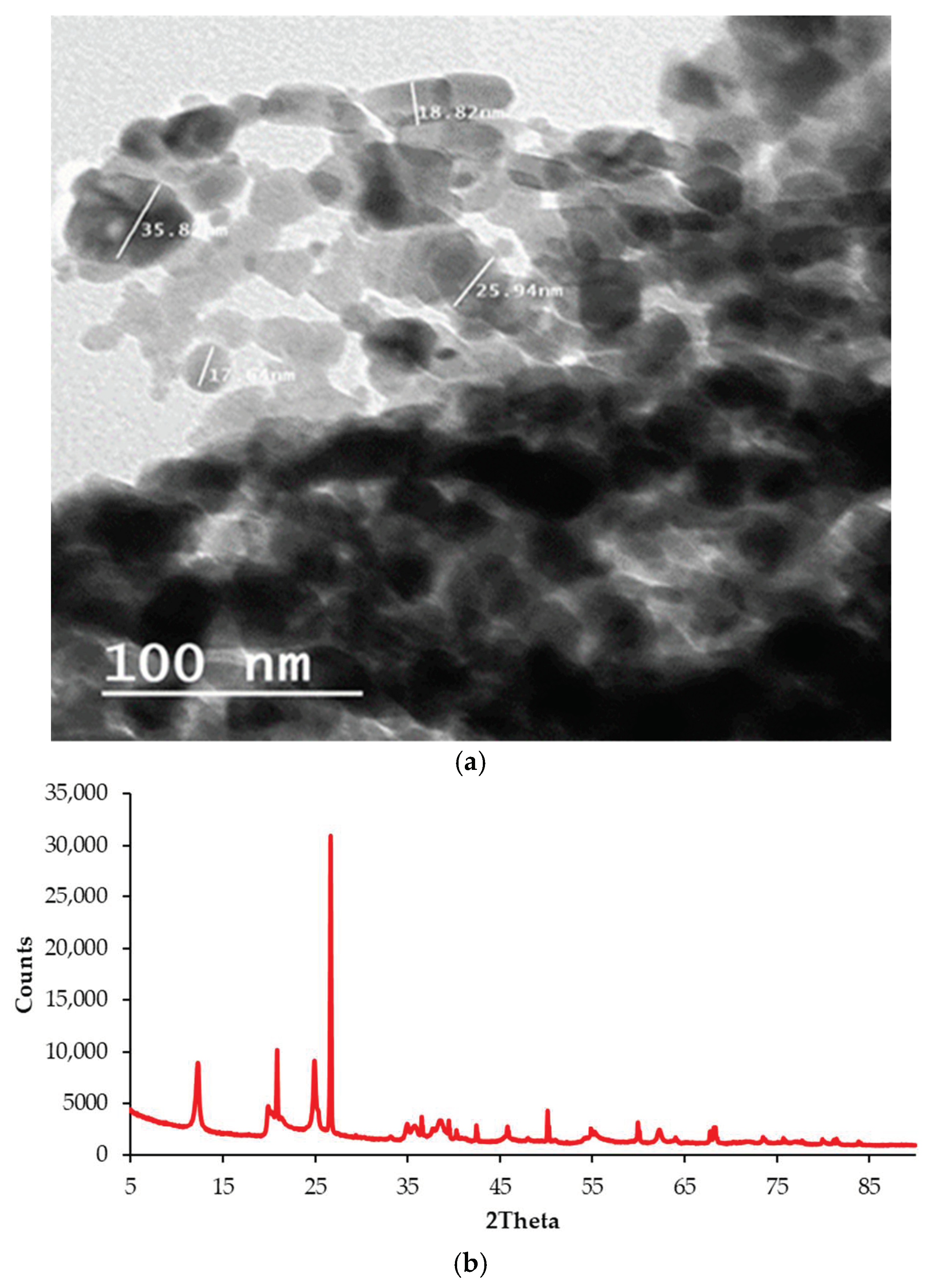 Polymers 13 00434 g002