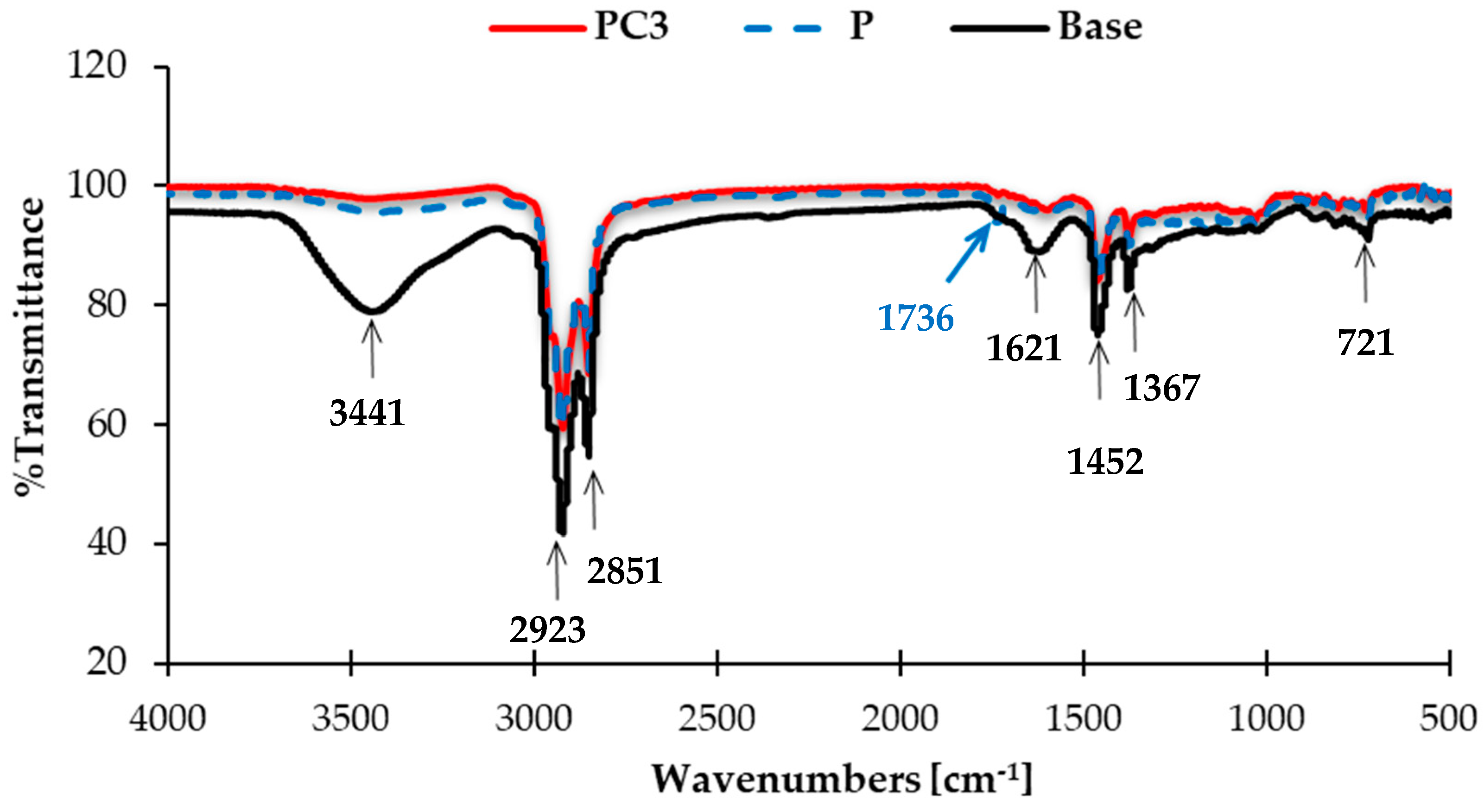 Polymers 13 00434 g006