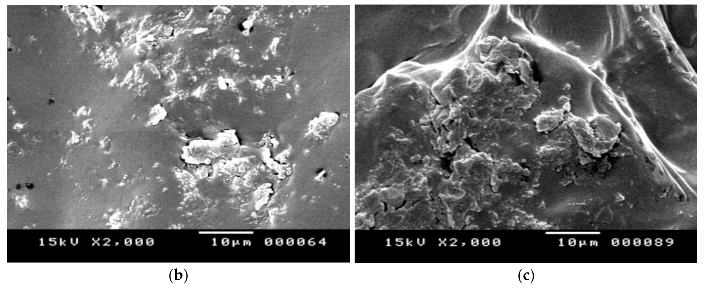 Polymers 13 00434 g007b
