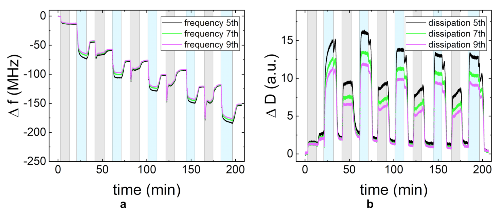Polymers 13 00435 g006