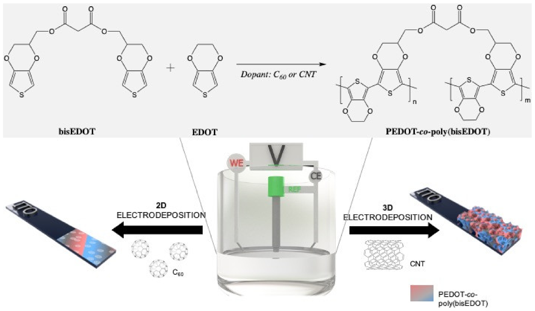 Polymers 13 00436 g001