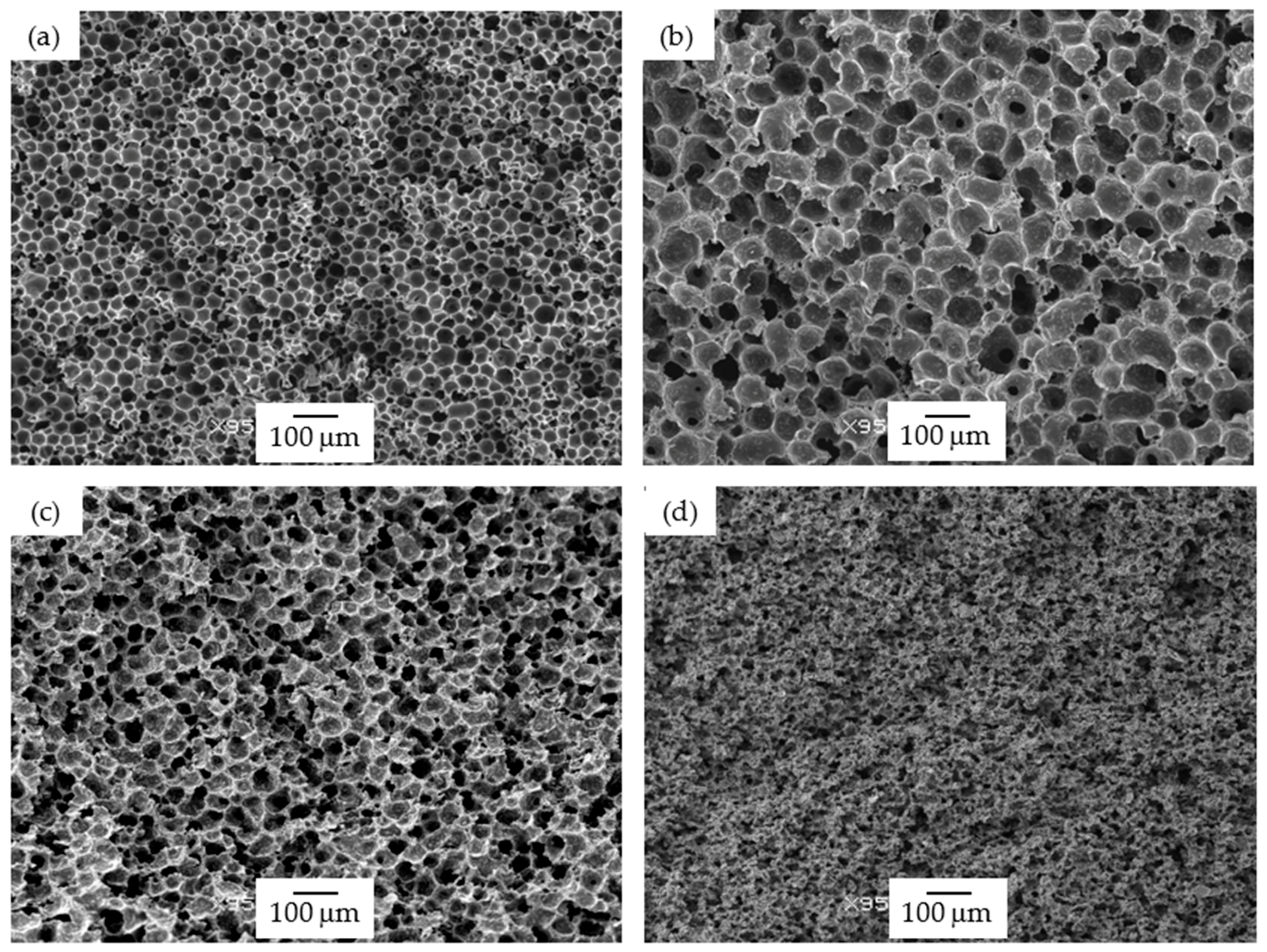 Polymers 13 00437 g001