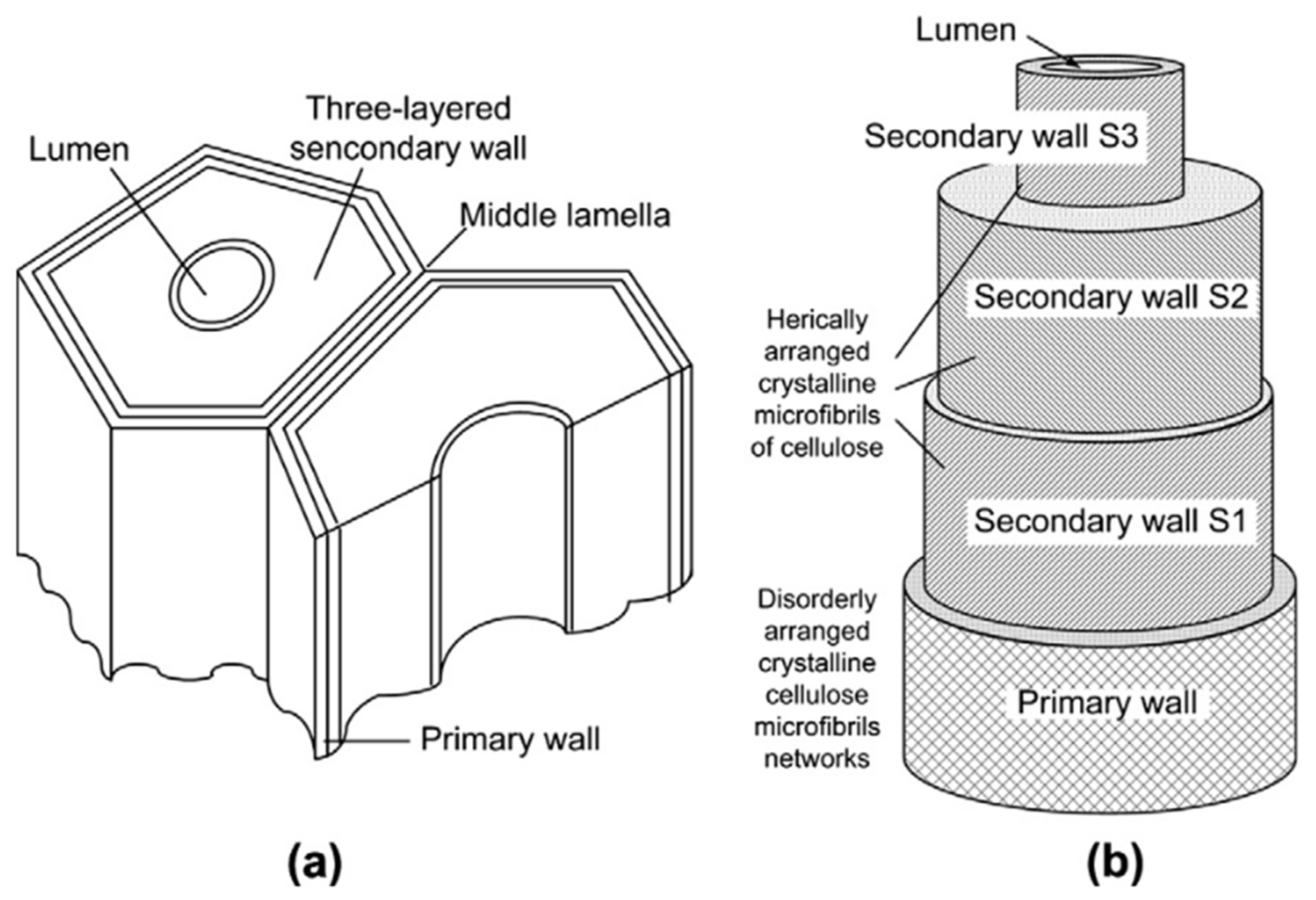 Polymers 13 00438 g002