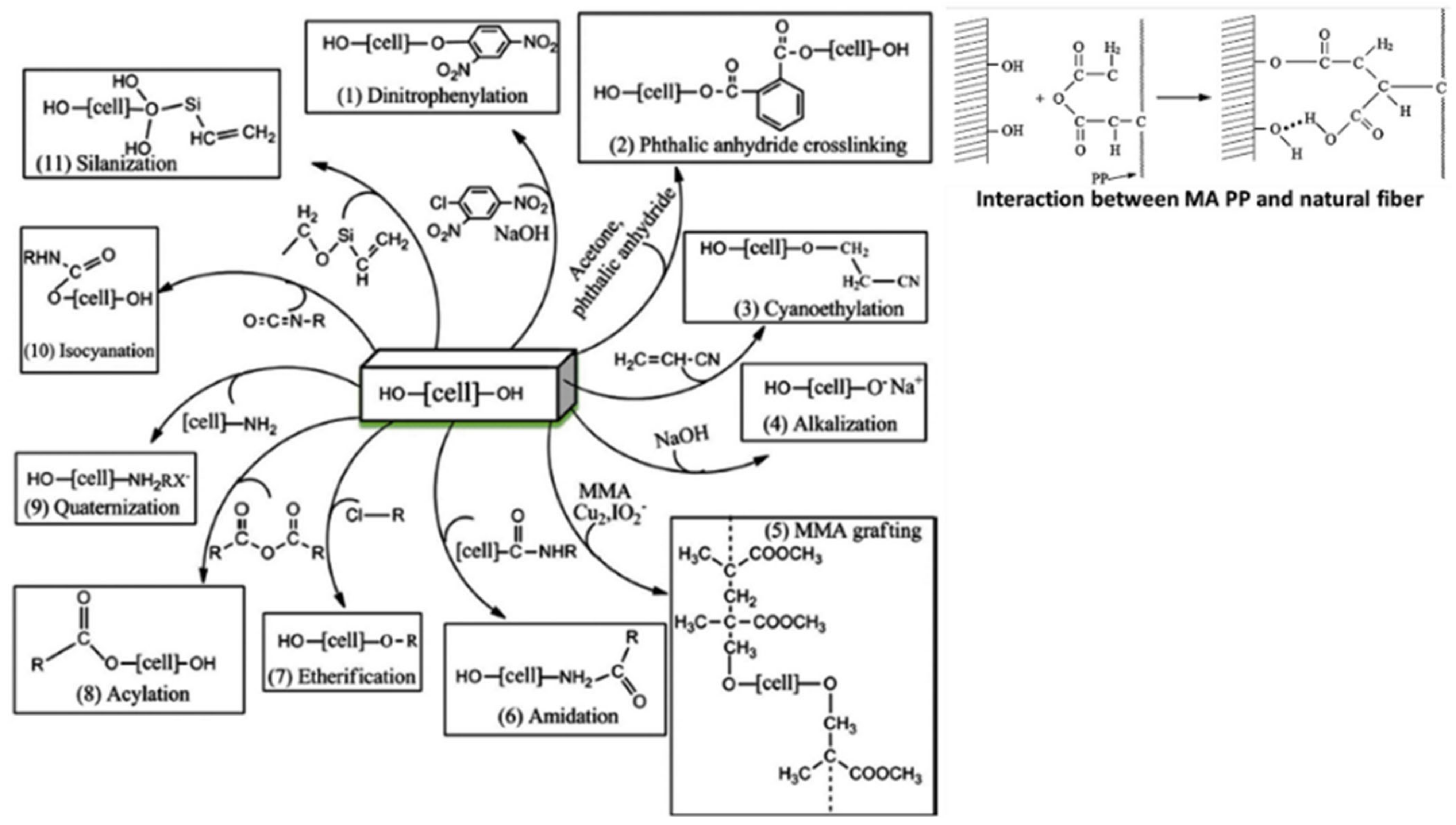 Polymers 13 00438 g004