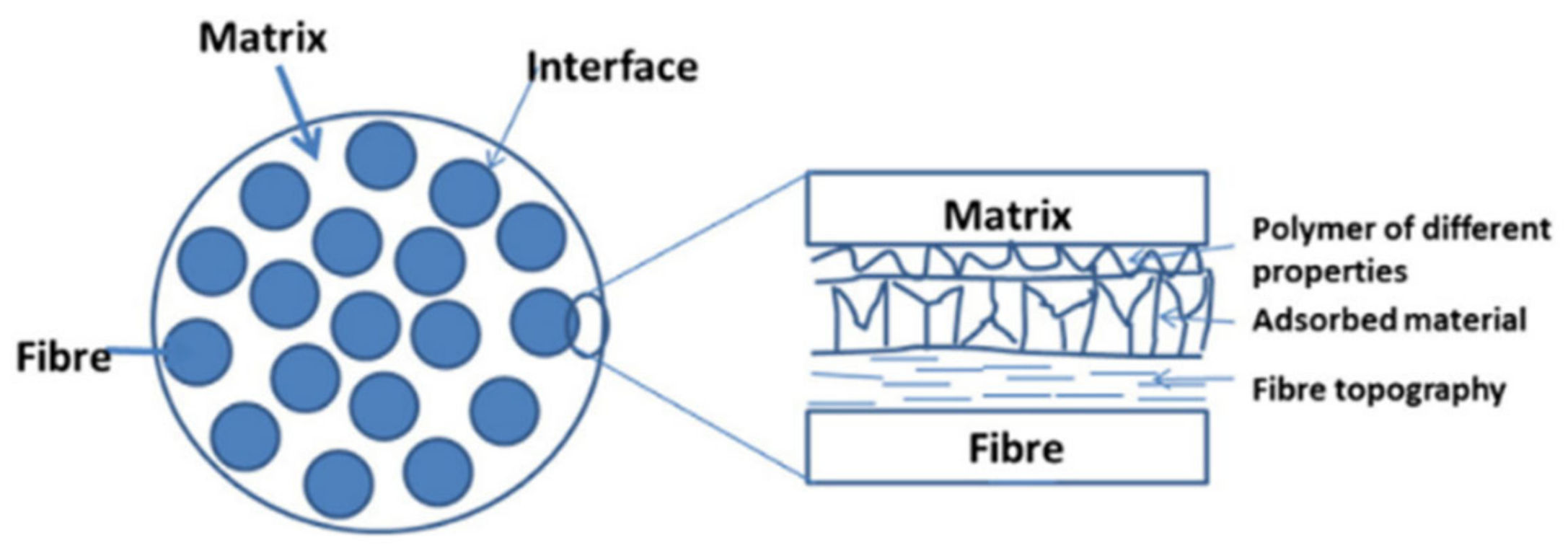 Polymers 13 00438 g005