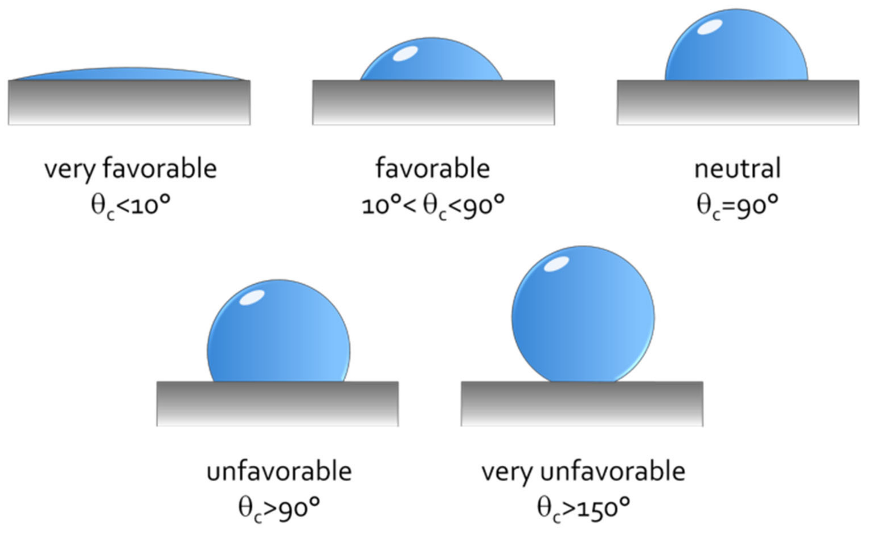 Polymers 13 00438 g006
