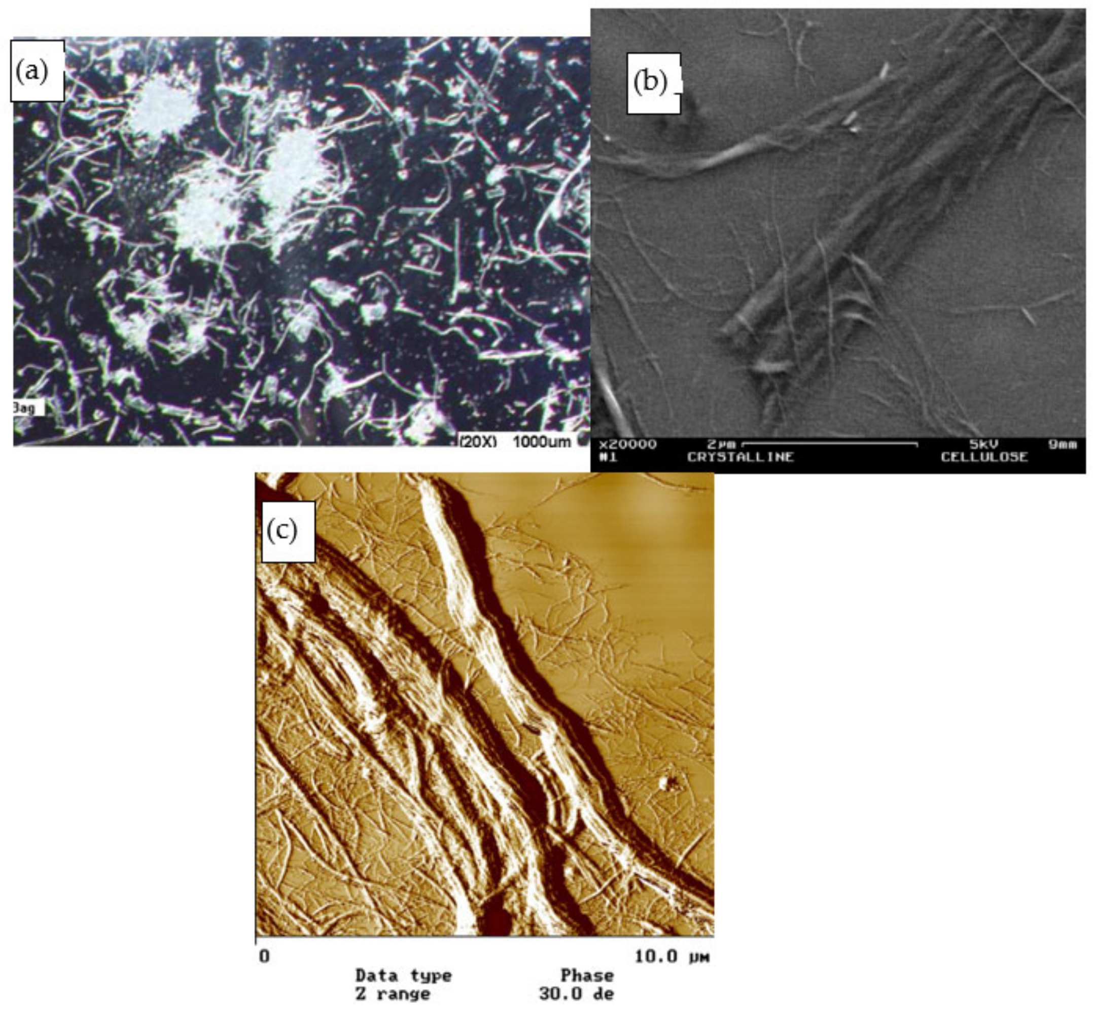 Polymers 13 00438 g007