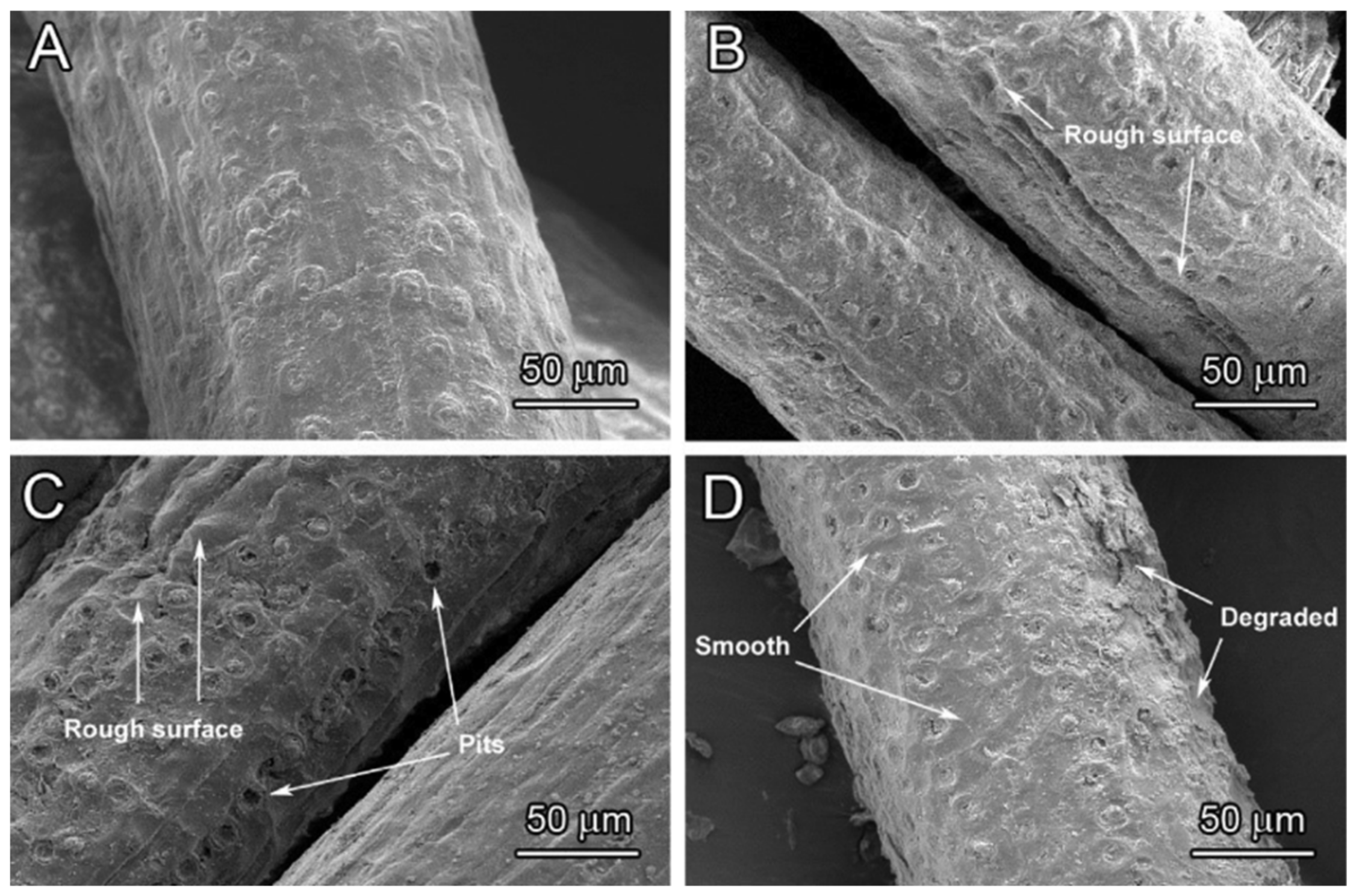 Polymers 13 00438 g008