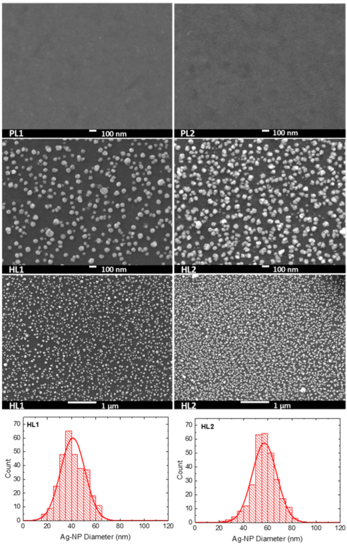 Polymers 13 00439 g005