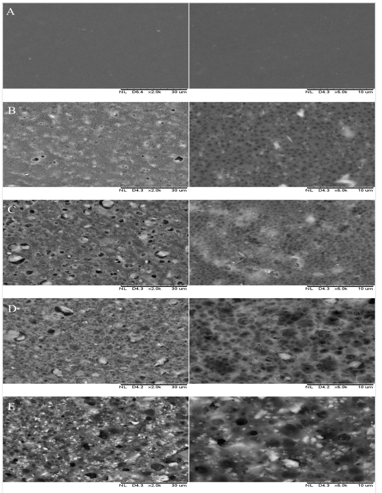 Polymers 13 00441 g002