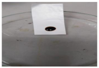 Polymers 13 00441 i001