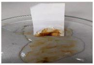 Polymers 13 00441 i002