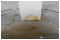 Polymers 13 00441 i003