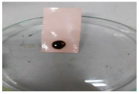 Polymers 13 00441 i004