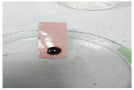 Polymers 13 00441 i007