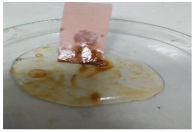 Polymers 13 00441 i008