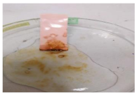 Polymers 13 00441 i011