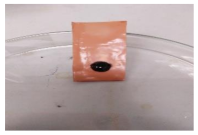 Polymers 13 00441 i013