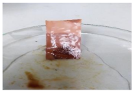 Polymers 13 00441 i014