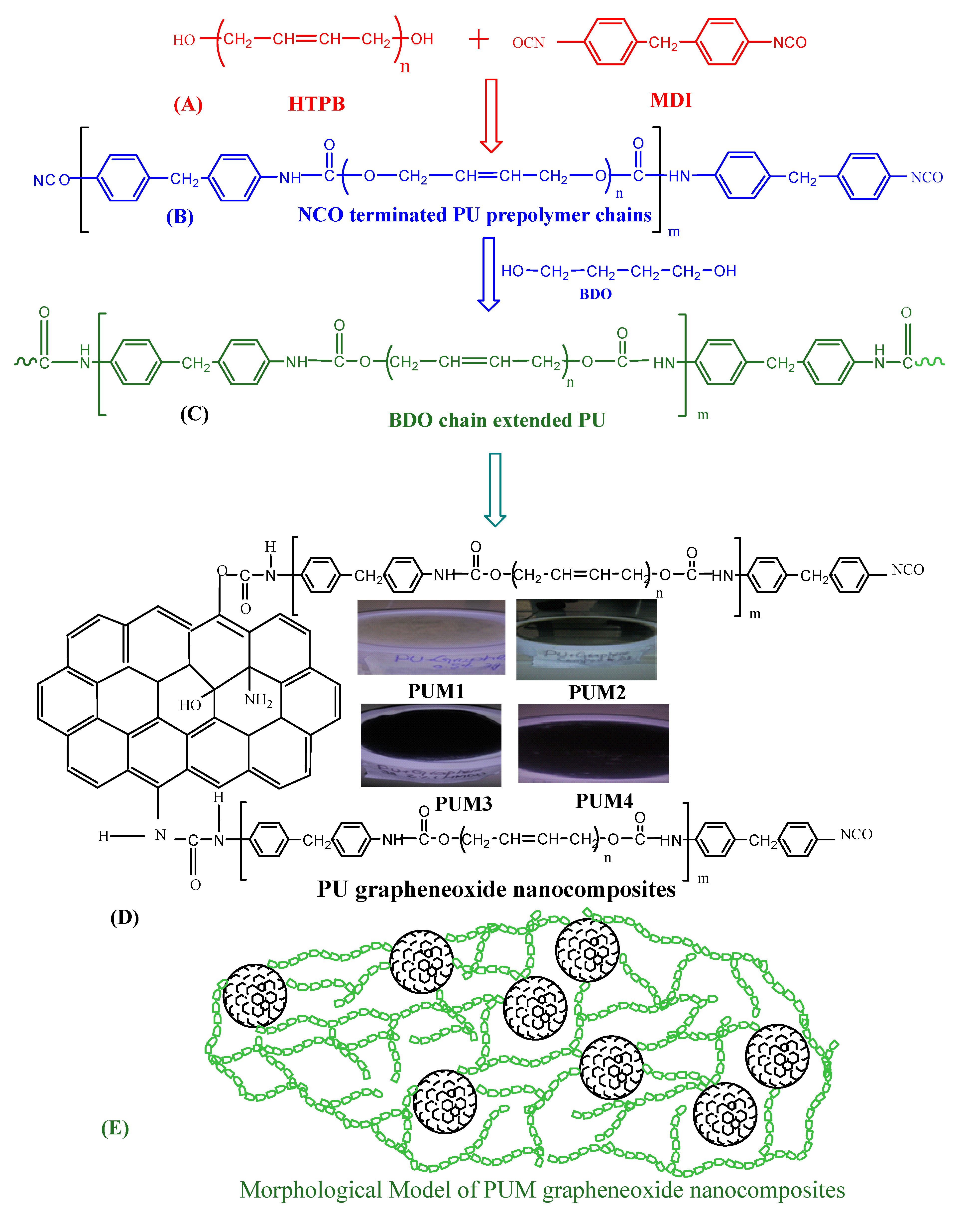 Polymers 13 00444 g001a