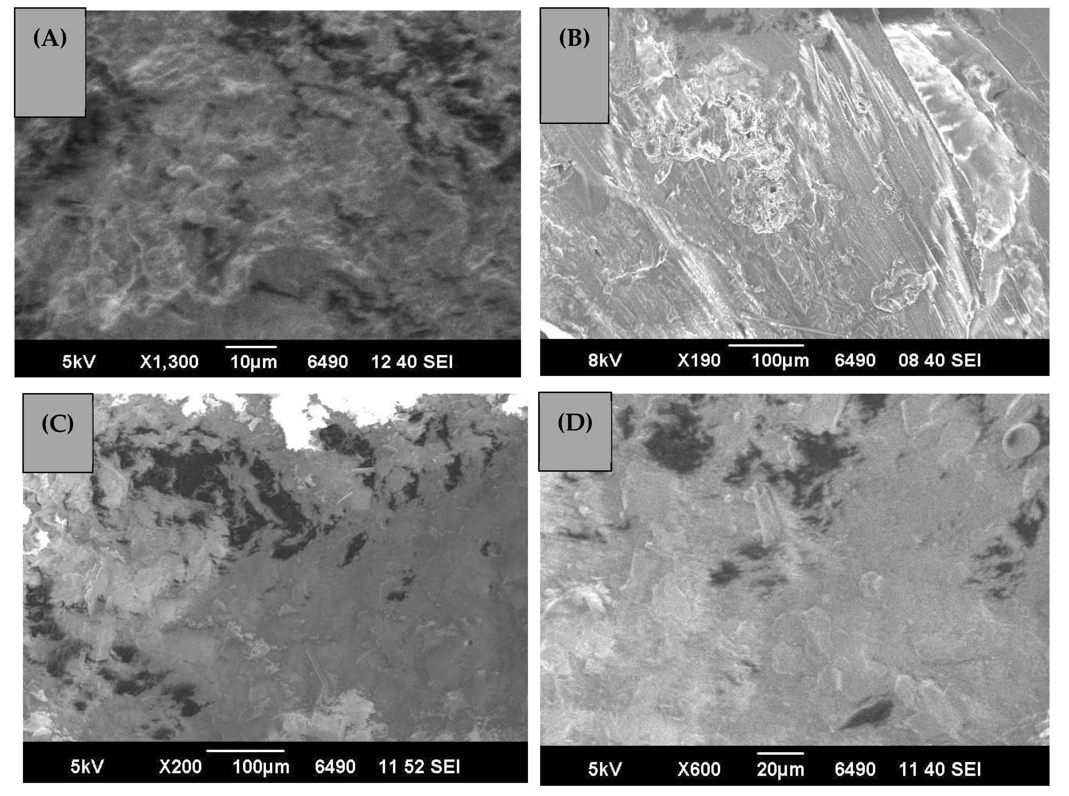 Polymers 13 00444 g006