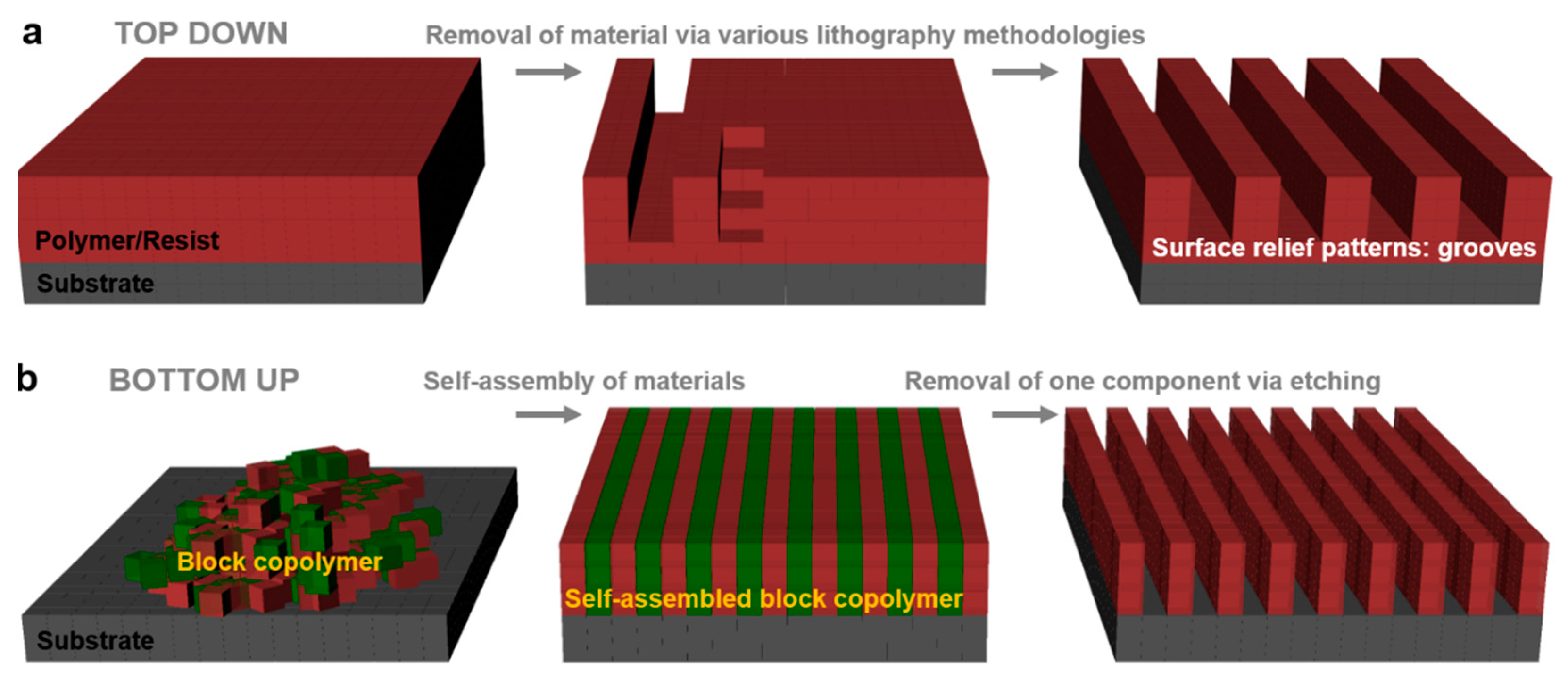Polymers 13 00445 g001