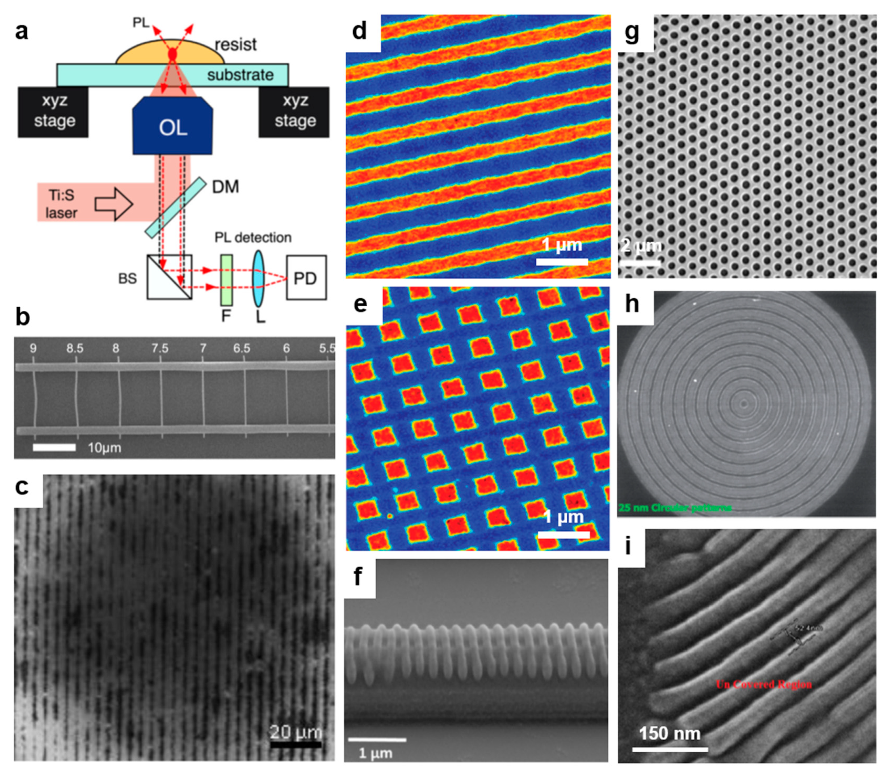 Polymers 13 00445 g003