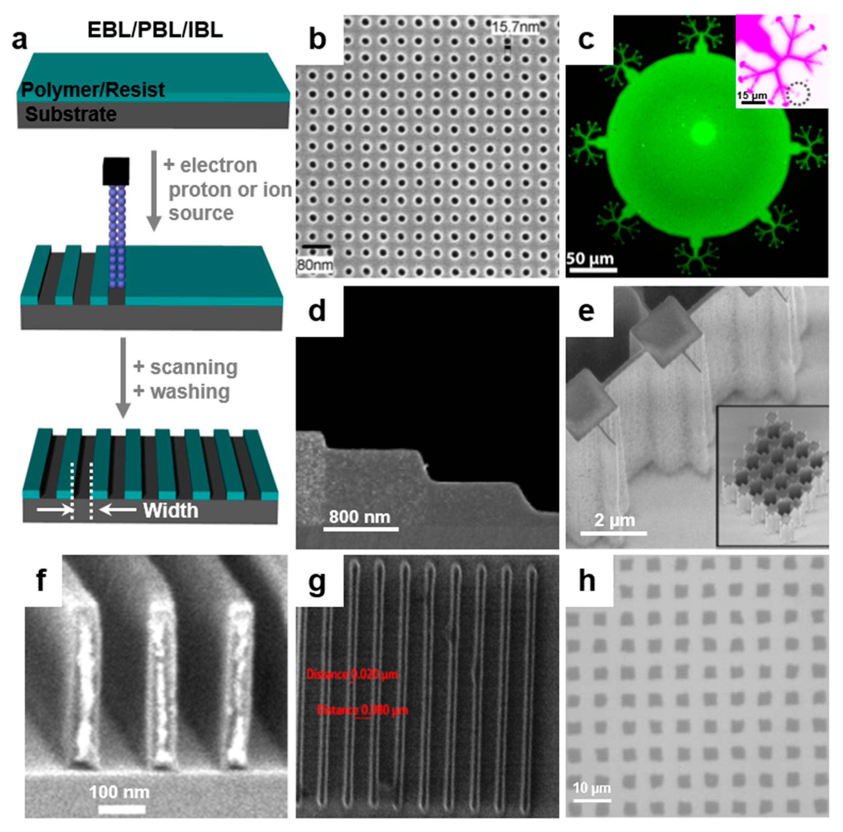 Polymers 13 00445 g004