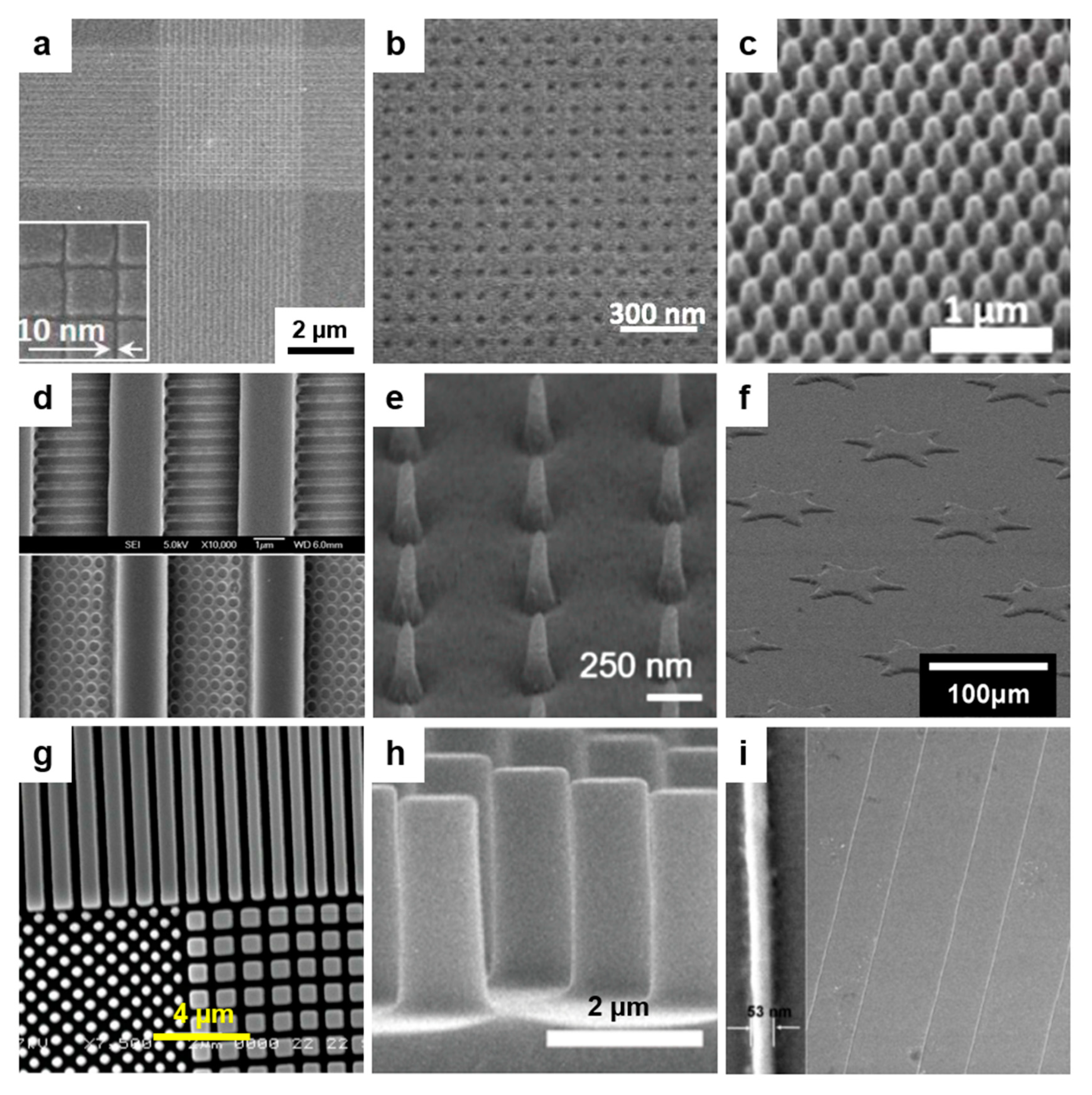 Polymers 13 00445 g006