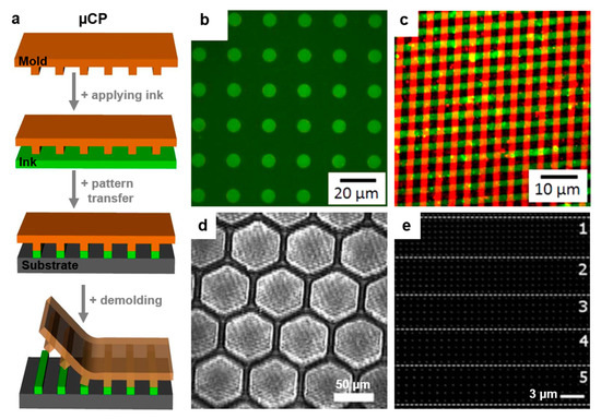 Polymers 13 00445 g007