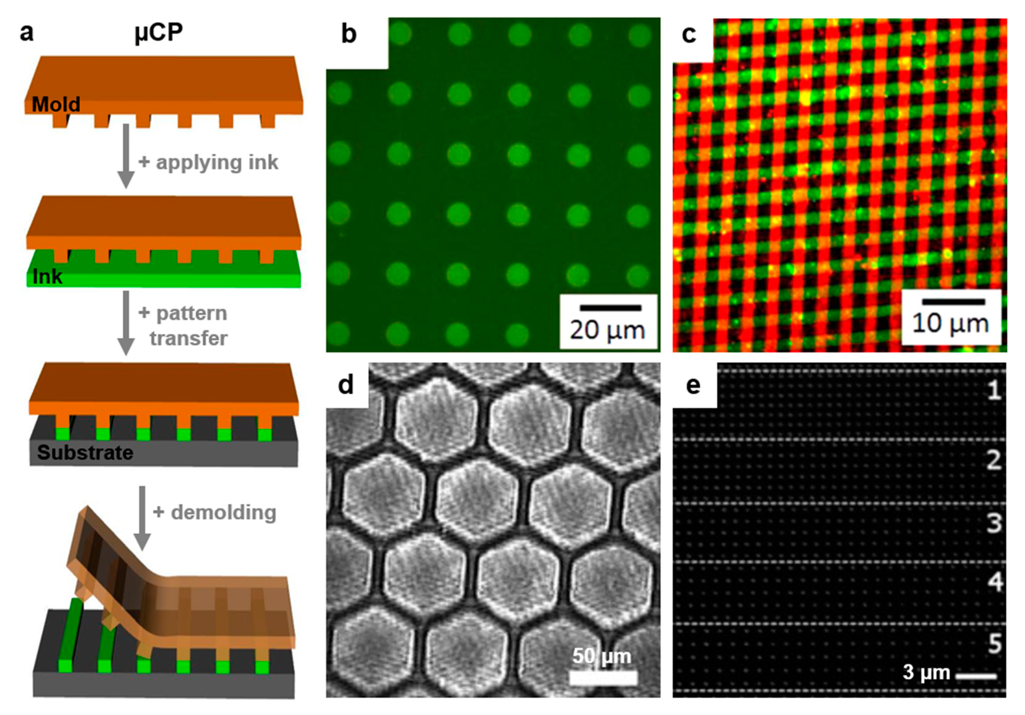 Polymers 13 00445 g007