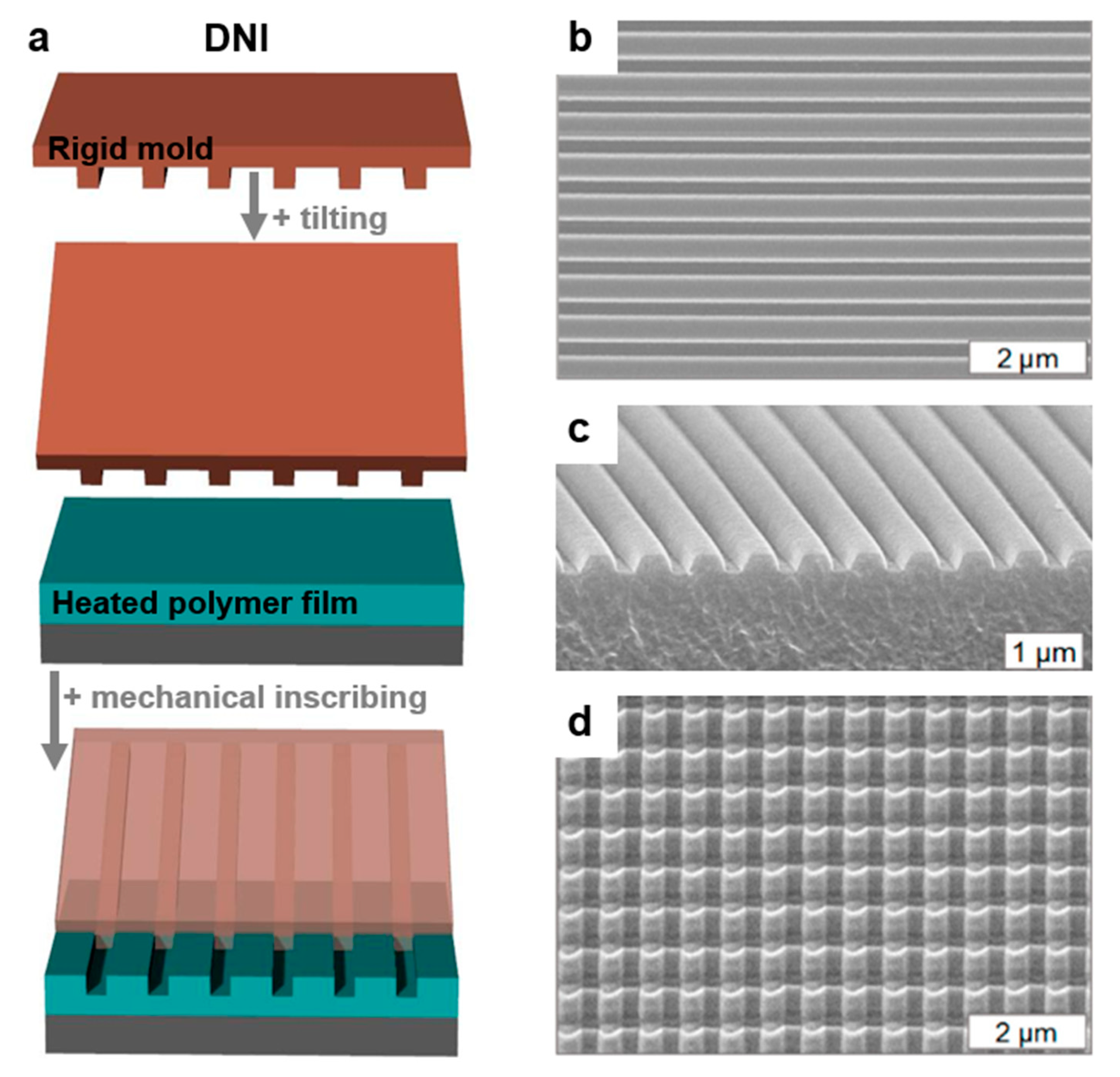 Polymers 13 00445 g008