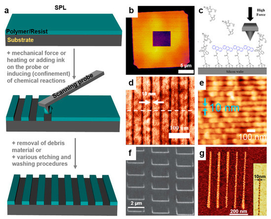 Polymers 13 00445 g009