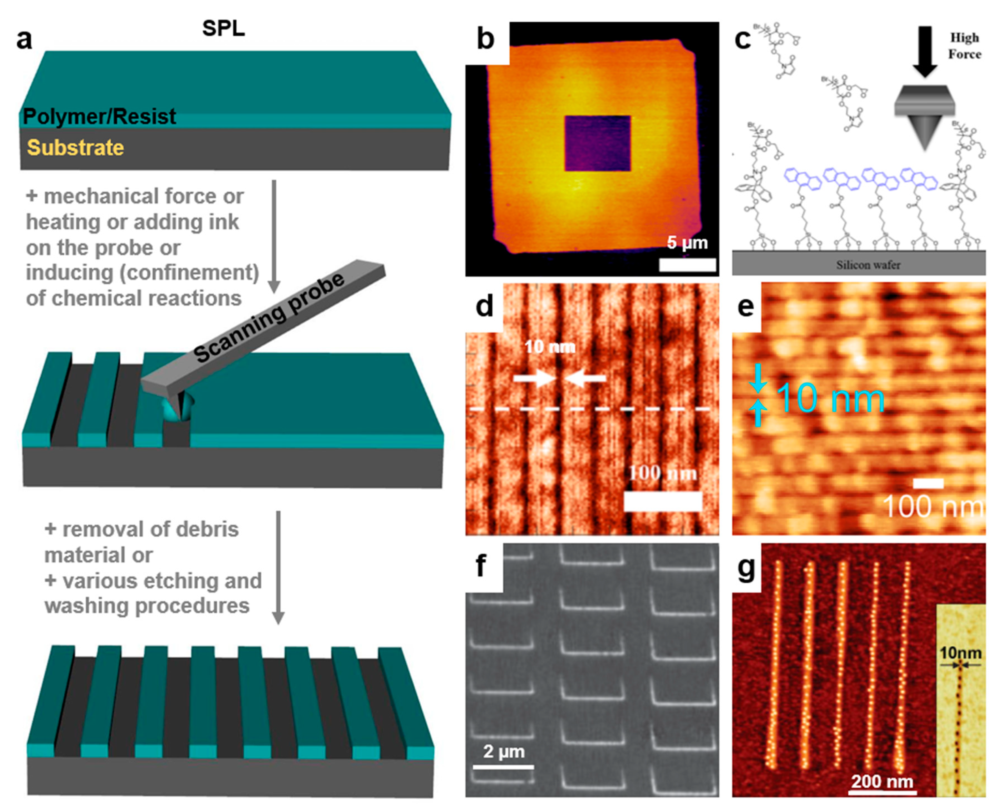 Polymers 13 00445 g009