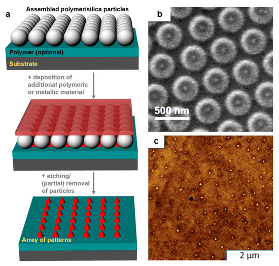 Polymers 13 00445 g010