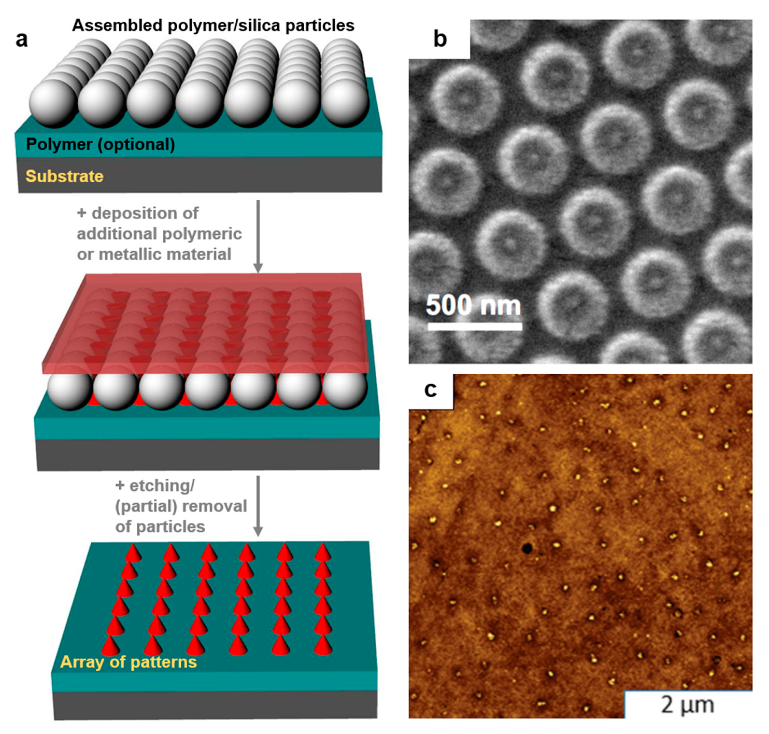 Polymers 13 00445 g010